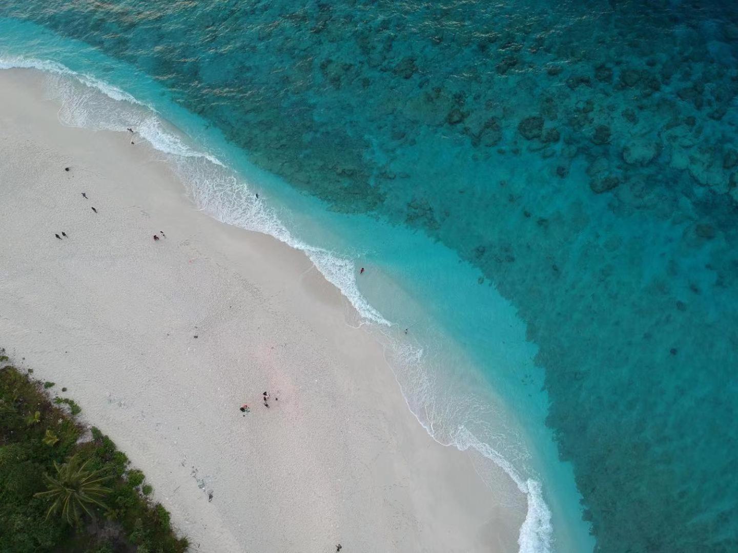 Tiger Shark Residence & Dive Fuvahmulah Екстер'єр фото