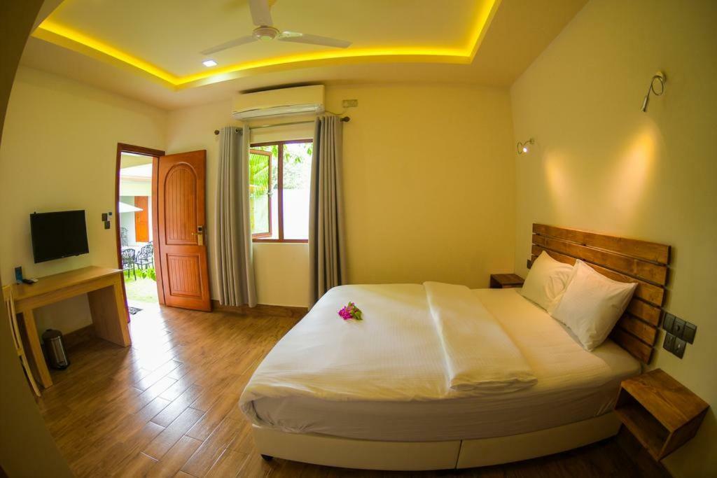 Tiger Shark Residence & Dive Fuvahmulah Екстер'єр фото